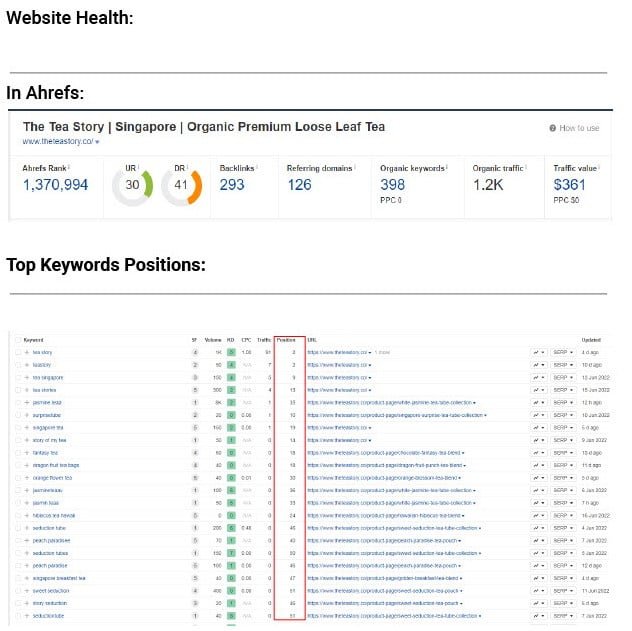 The Story SEO Success