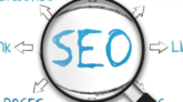 seo-success-story-by-rana-awais