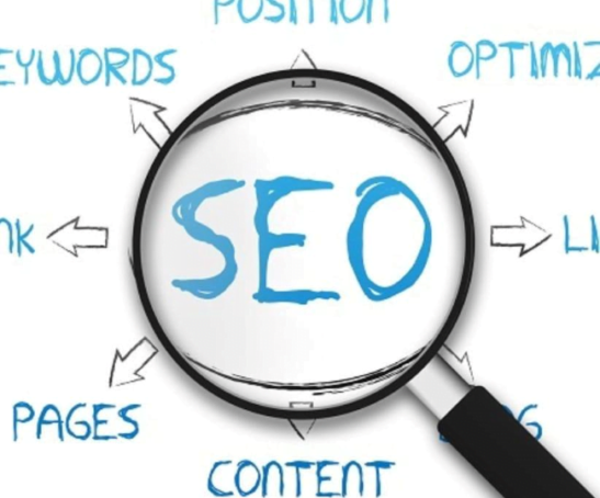 seo-success-story-by-rana-awais