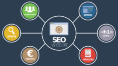 seo-success-story-by-rana-awais