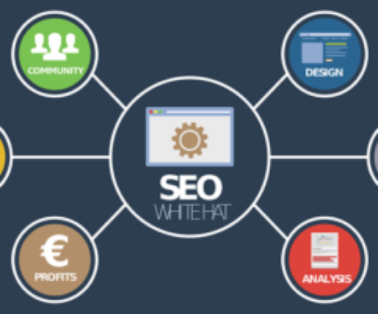 seo-success-story-by-rana-awais