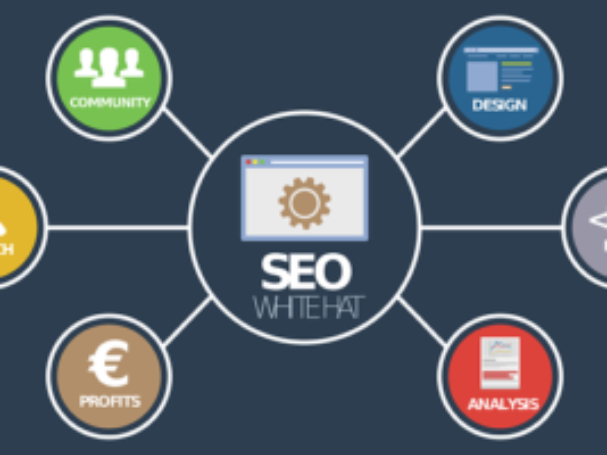 seo-success-story-by-rana-awais